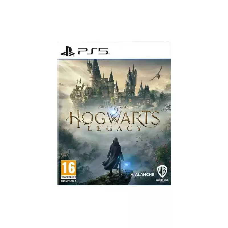 PS5 Hogwarts Legacy - Usato