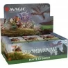 Bloomburrow Display Box 36 Buste ITA – Magic the Gathering - USCITA 02/08/2024