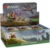 Bloomburrow Display Box 36 Buste ITA – Magic the Gathering