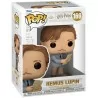 Remus Lupin - 169 - Harry Potter - Funko Pop!