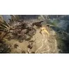 XBOX SERIES X Titan Quest II - USCITA 31 Dicembre 2024