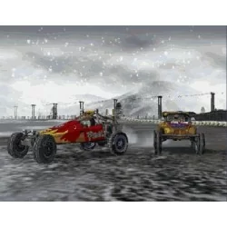 PS2 Wild Wild Racing - Usato